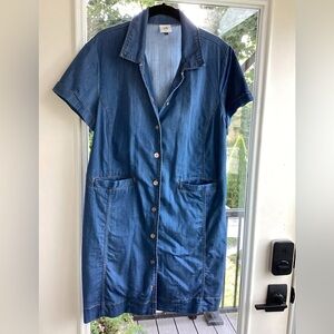 6580 CAbi Piece of Cake Dress